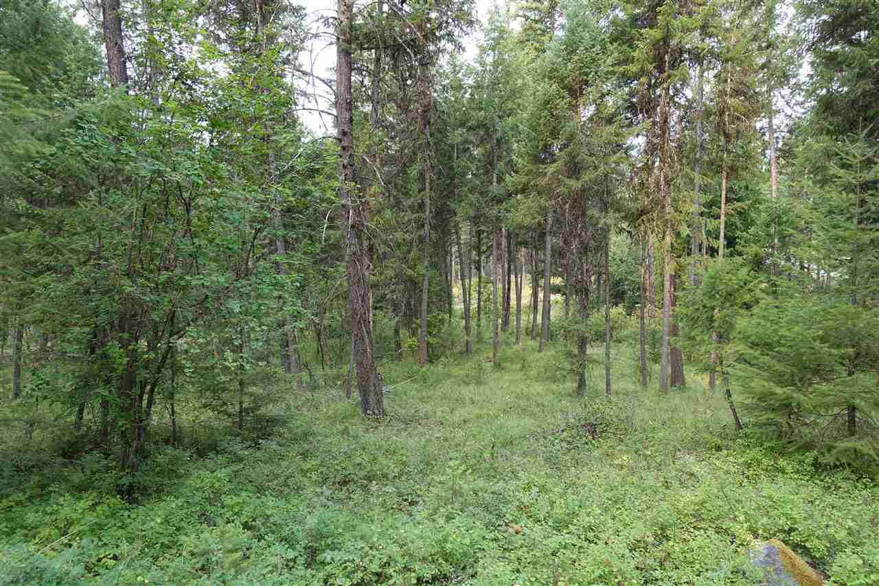 1473 Matson Road Colville, WA 99114 - Photo 14 of 20