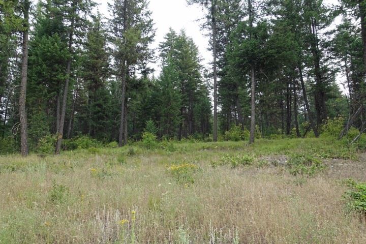 1473 Matson Road Colville, WA 99114 - Photo 17 of 20