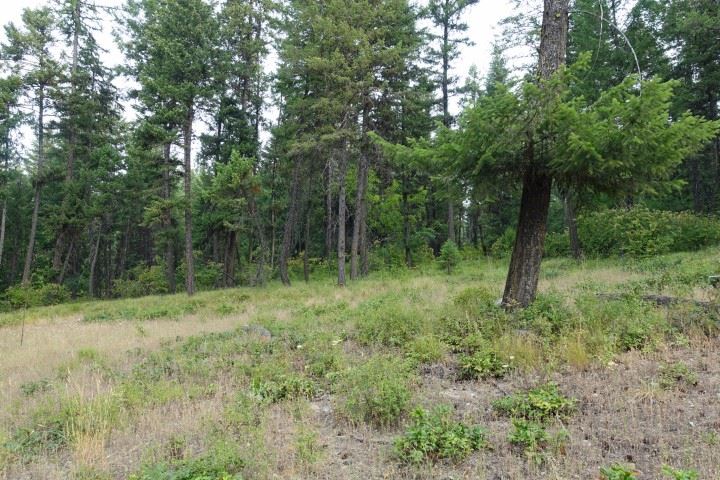 1473 Matson Road Colville, WA 99114 - Photo 18 of 20