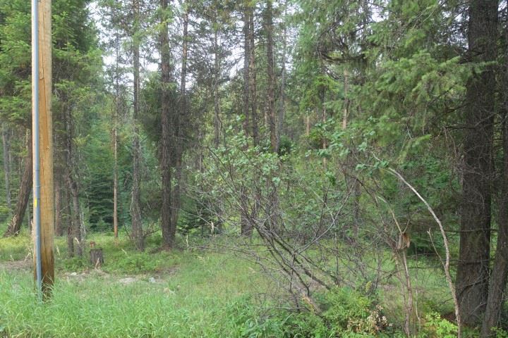 1473 Matson Road Colville, WA 99114 - Photo 19 of 20