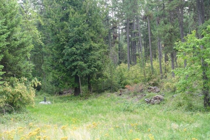 1473 Matson Road Colville, WA 99114 - Photo 20 of 20