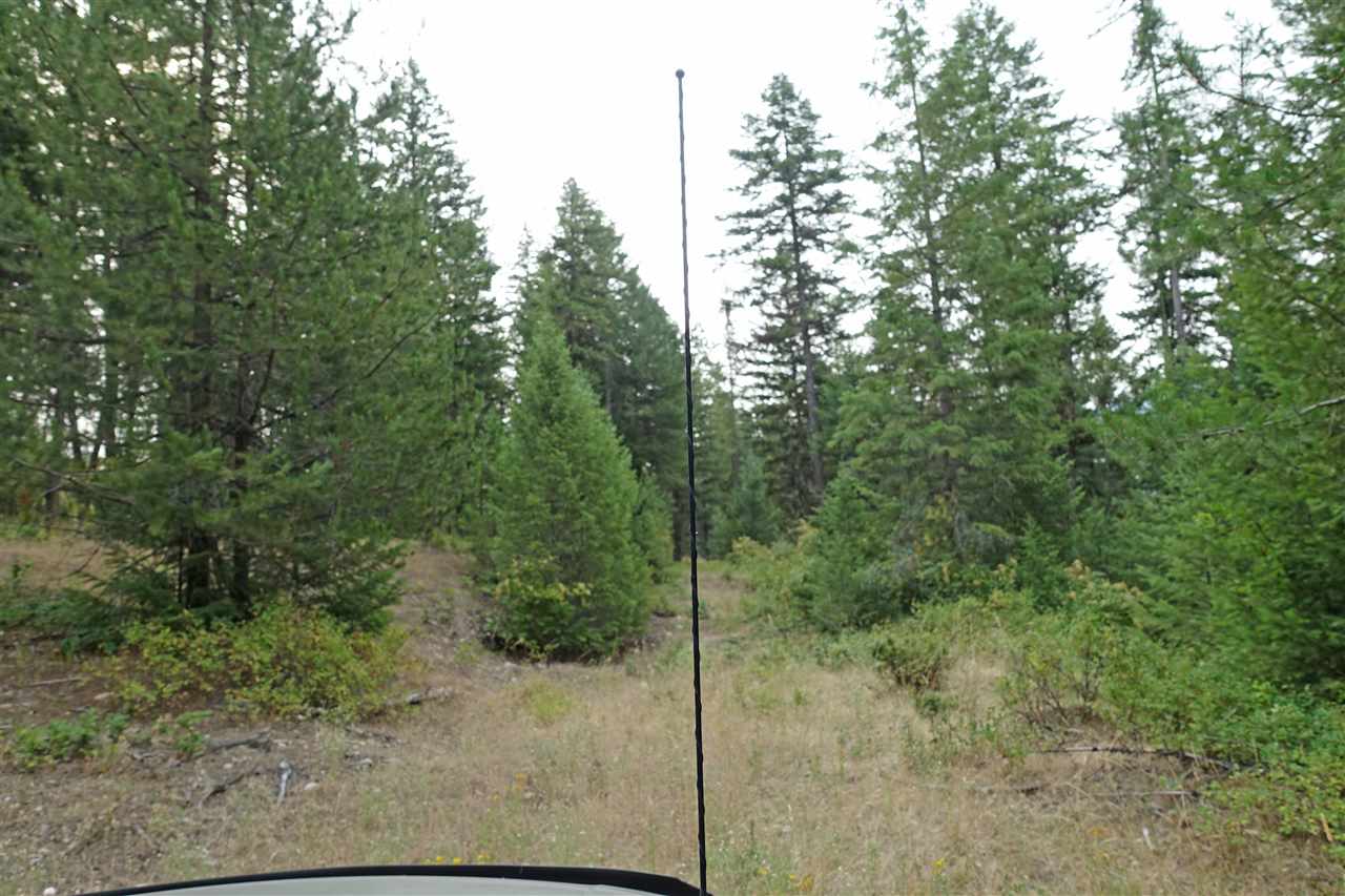 1473 Matson Road Colville, WA 99114 - Photo 9 of 20