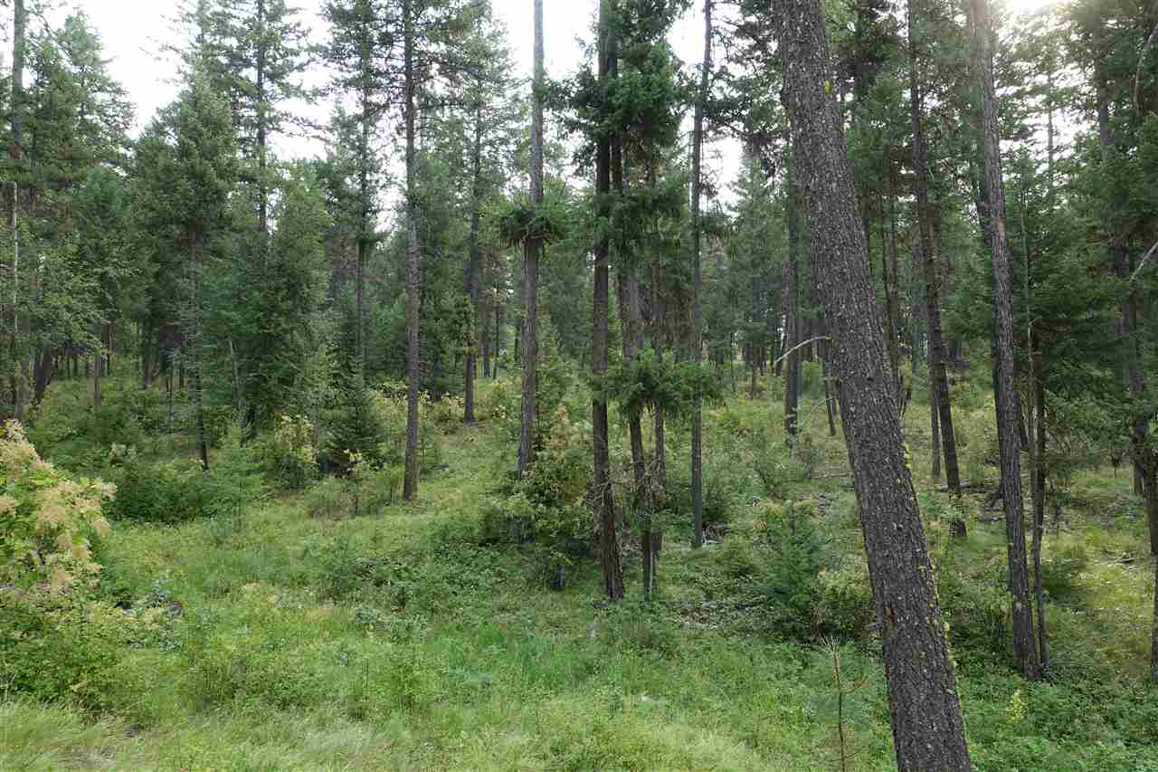 1473 Matson Road Colville, WA 99114 - Photo 10 of 20