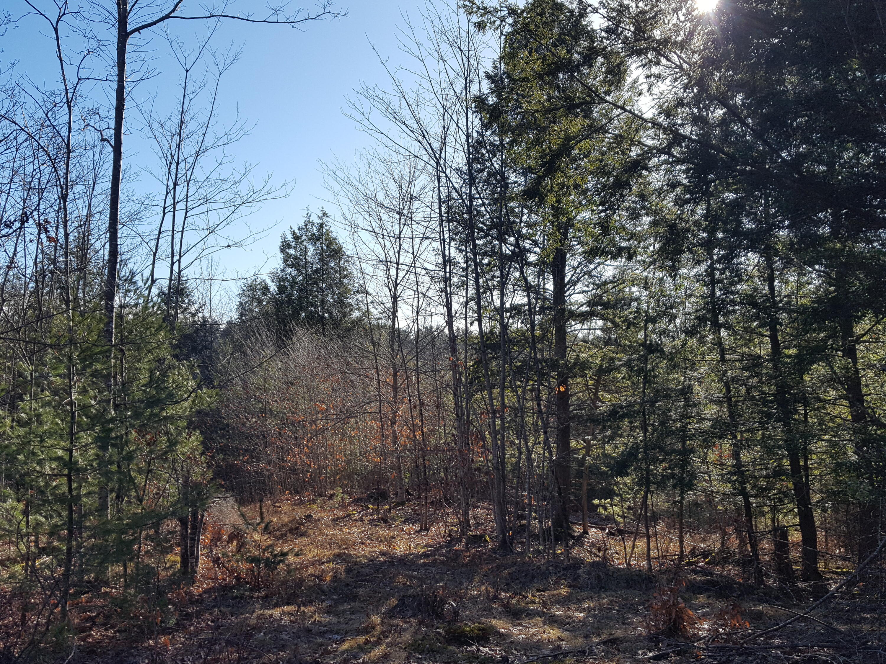 88 Mitchell Hill Road Gorham, ME 04038 - Photo 69 of 99 20231220_115337