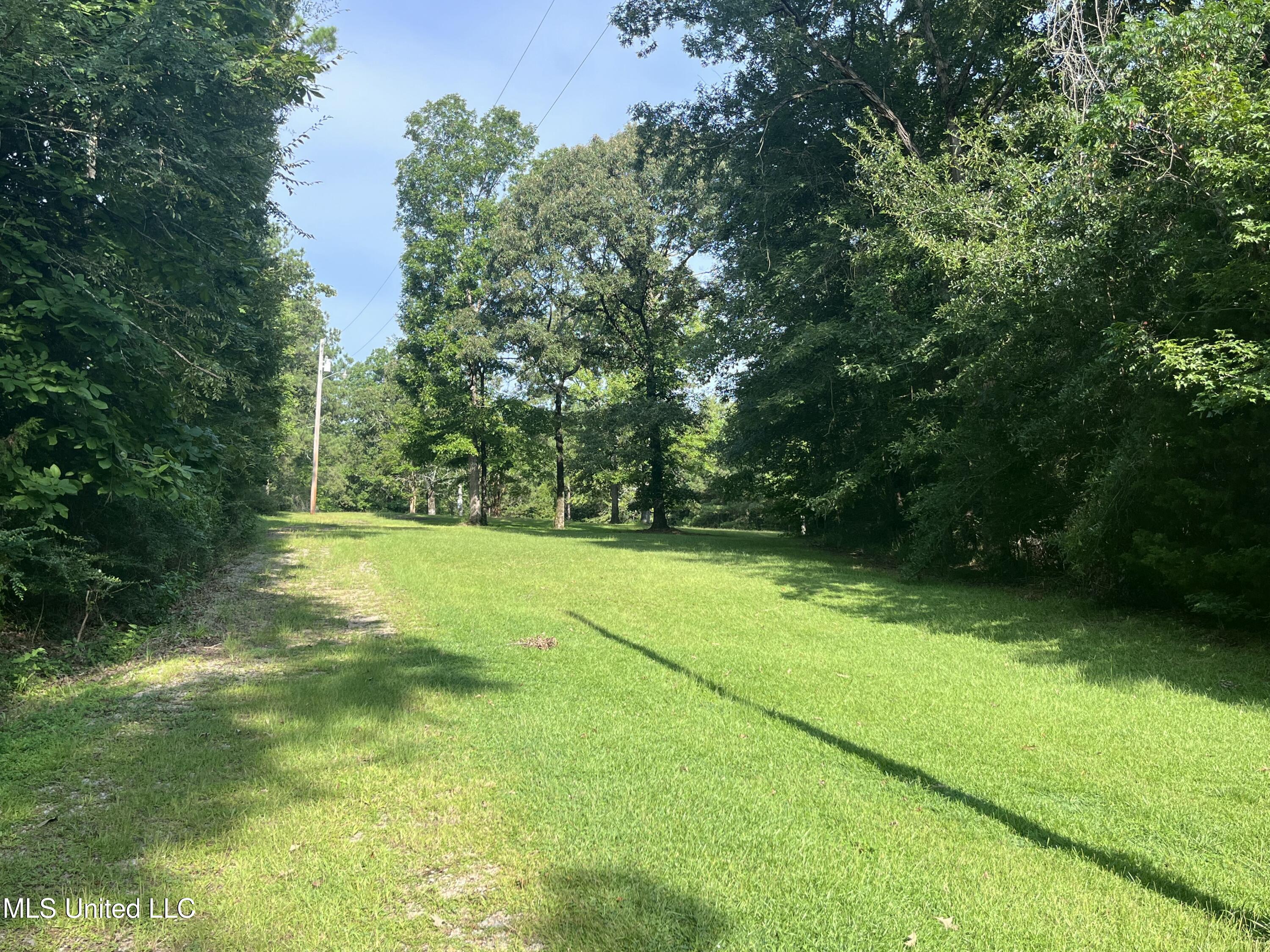 297 Barnes Road Florence, MS 39073 - Photo 131 of 170 IMG_8441