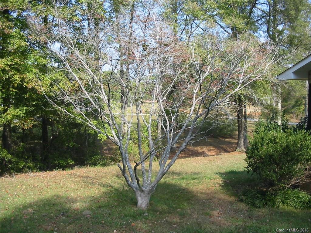 475 Mimosa Road Rock Hill, SC 29730 - Photo 21 of 22 Gallery Image 21