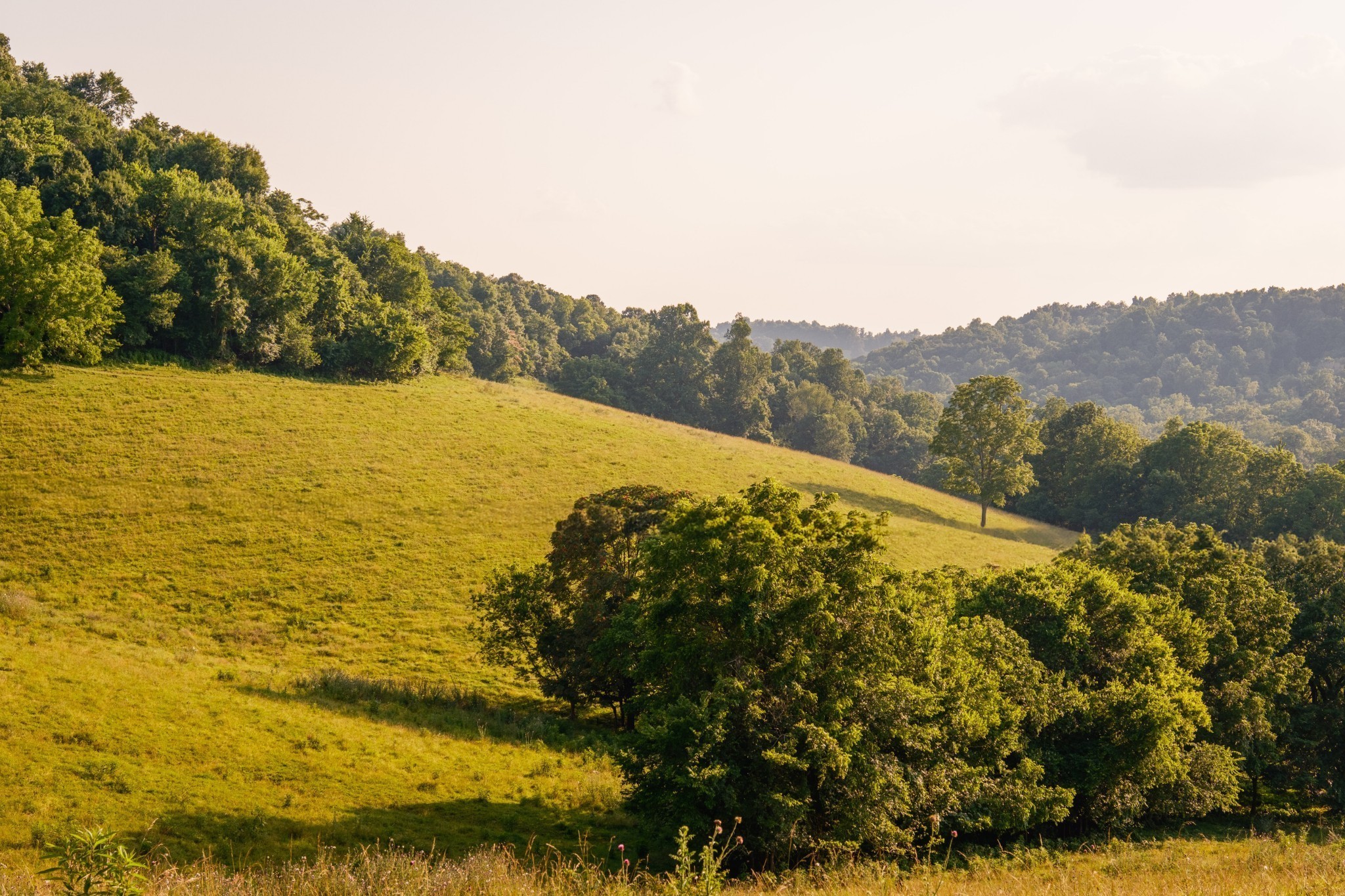 2405 Thompson Road Lewisburg, TN 37091 - Photo 52 of 71 a view of an ocean