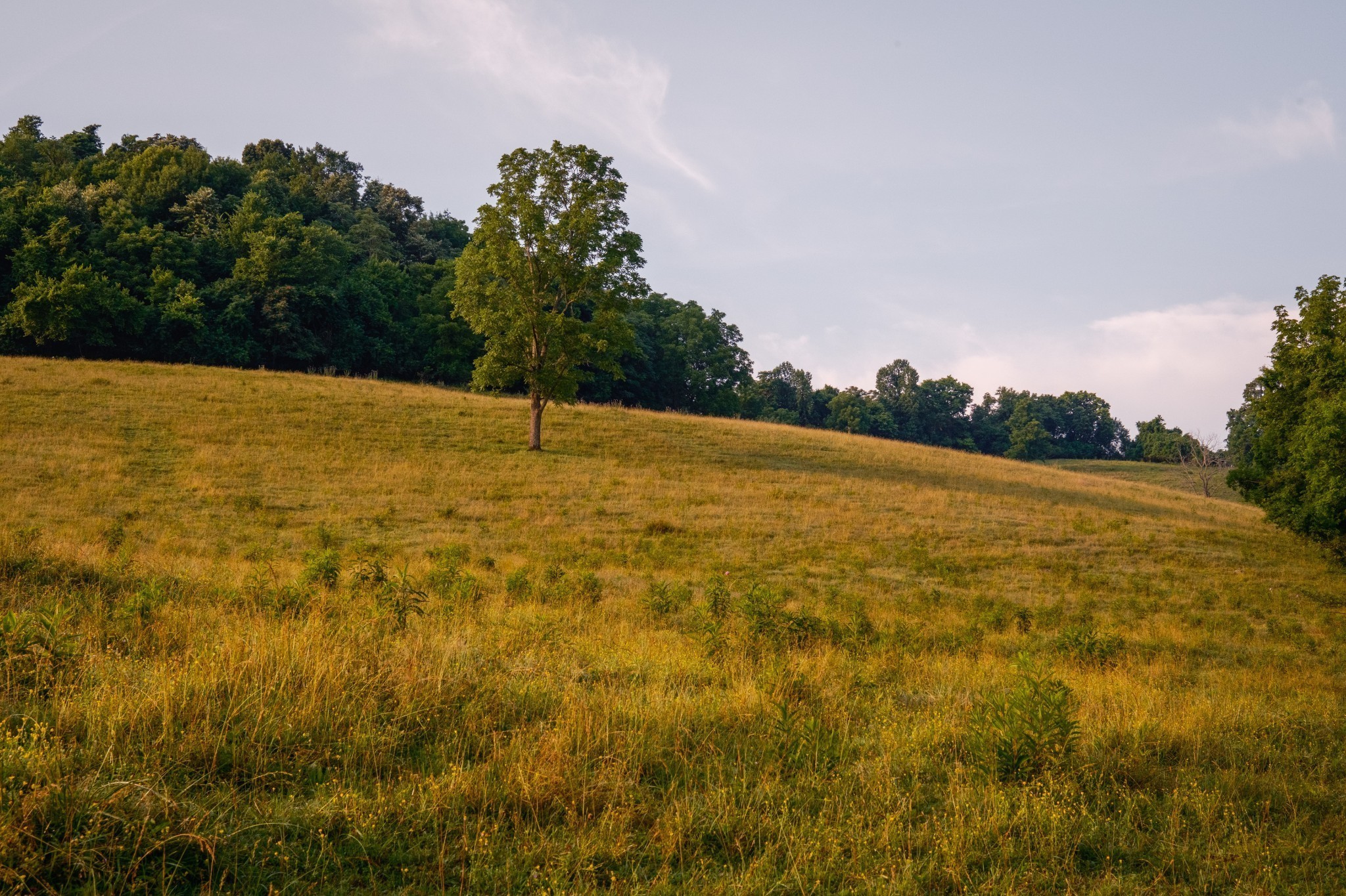 2405 Thompson Road Lewisburg, TN 37091 - Photo 71 of 71