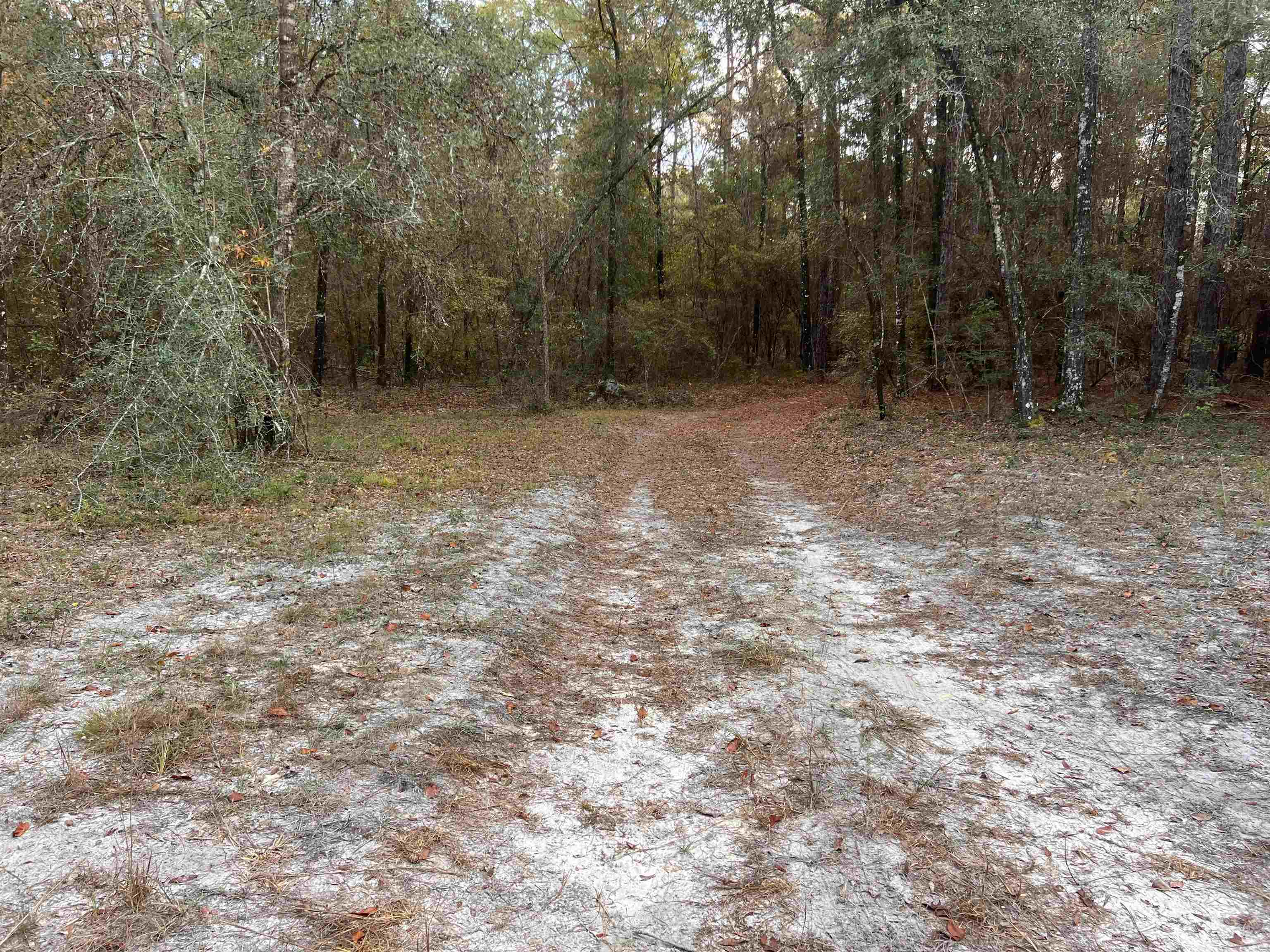 520 New Light Church Road Crawfordville, FL 32327 - Photo 16 of 18