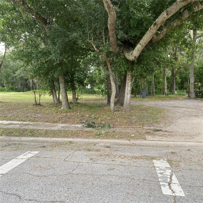 14577 Siplin Road Winter Garden, FL 34787 - Photo 3 of 13