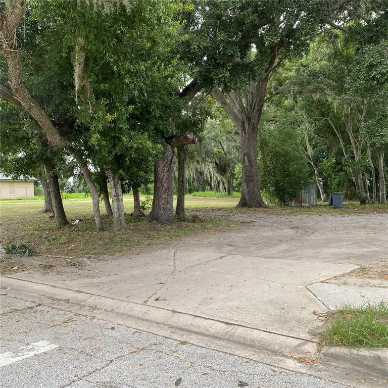 14577 Siplin Road Winter Garden, FL 34787 - Photo 7 of 13