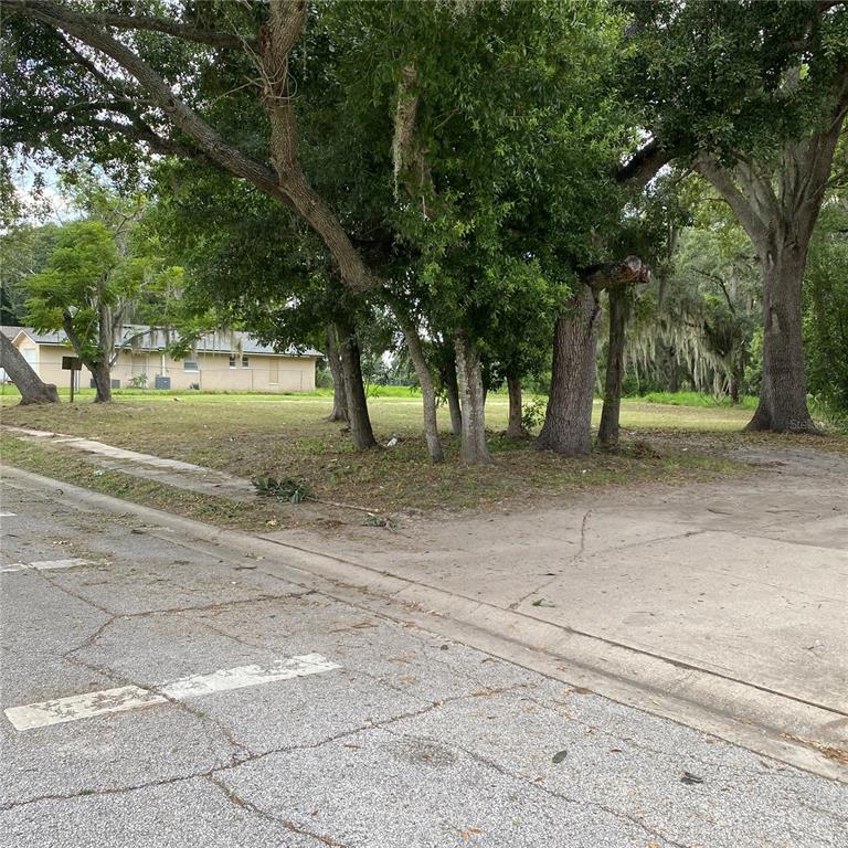 14577 Siplin Road Winter Garden, FL 34787 - Photo 8 of 13