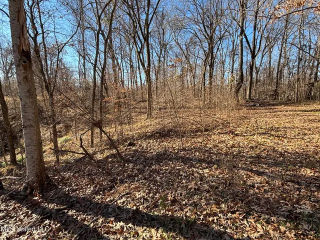 $138,600 | 49 Old Highway, Yazoo City, MS 39194