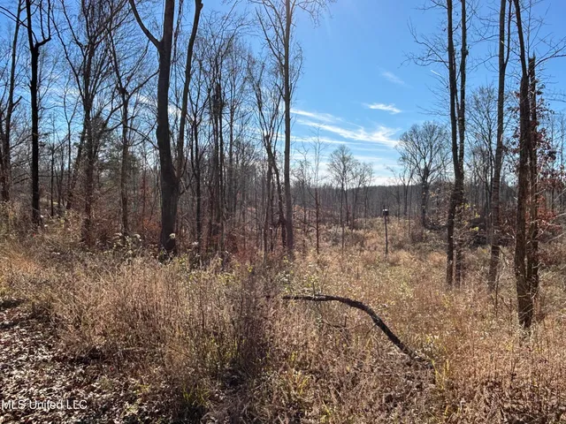 $138,600 | 49 Old Highway, Yazoo City, MS 39194