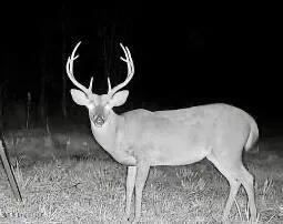 $138,600 | 49 Old Highway, Yazoo City, MS 39194