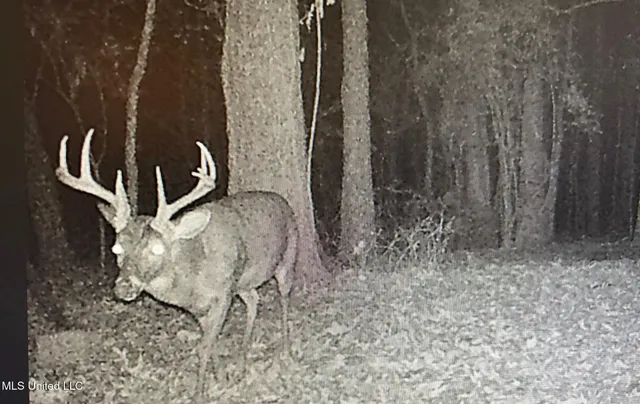 $138,600 | 49 Old Highway, Yazoo City, MS 39194