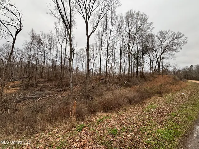 $138,600 | 49 Old Highway, Yazoo City, MS 39194