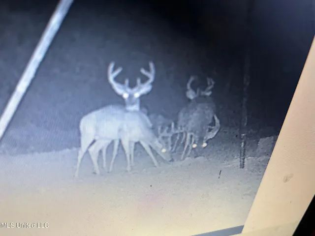 $138,600 | 49 Old Highway, Yazoo City, MS 39194