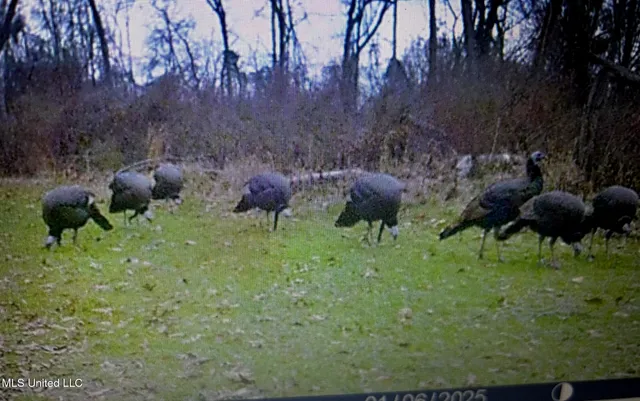 $138,600 | 49 Old Highway, Yazoo City, MS 39194