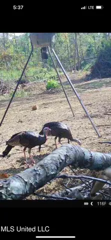 $138,600 | 49 Old Highway, Yazoo City, MS 39194