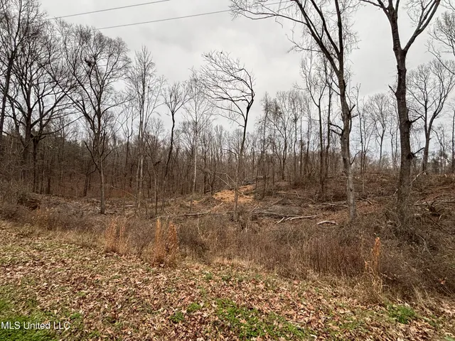 $138,600 | 49 Old Highway, Yazoo City, MS 39194