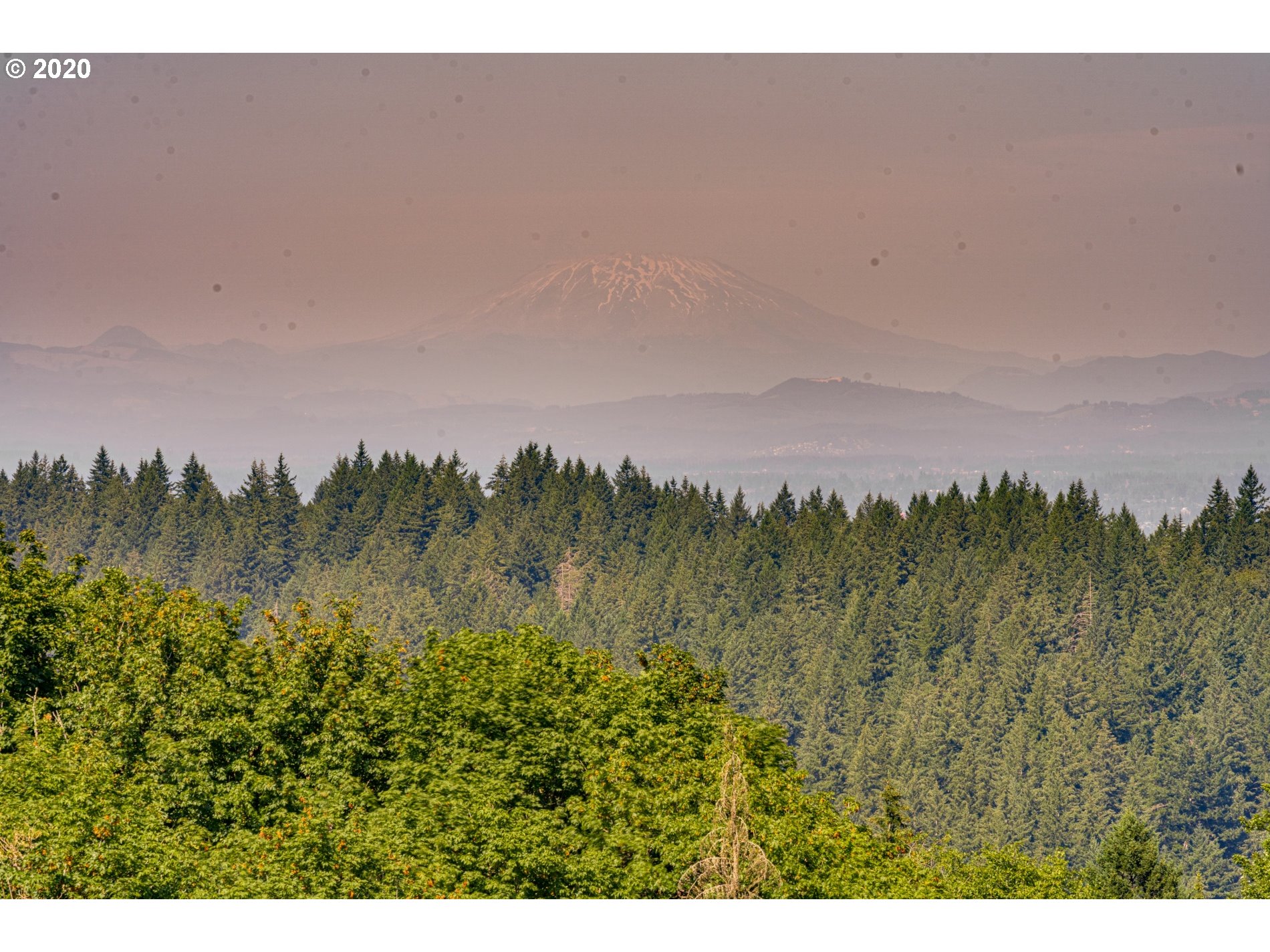 Northwest Skyline Boulevard Portland, OR 97210 - Photo 11 of 14 a view of a bunch of trees in a field