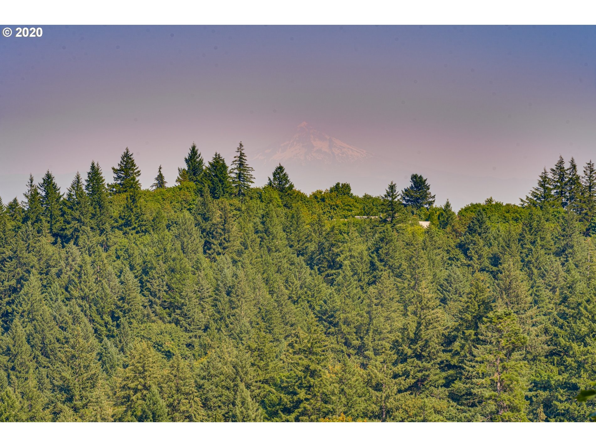 Northwest Skyline Boulevard Portland, OR 97210 - Photo 13 of 14 a backyard of a house with lots of green space