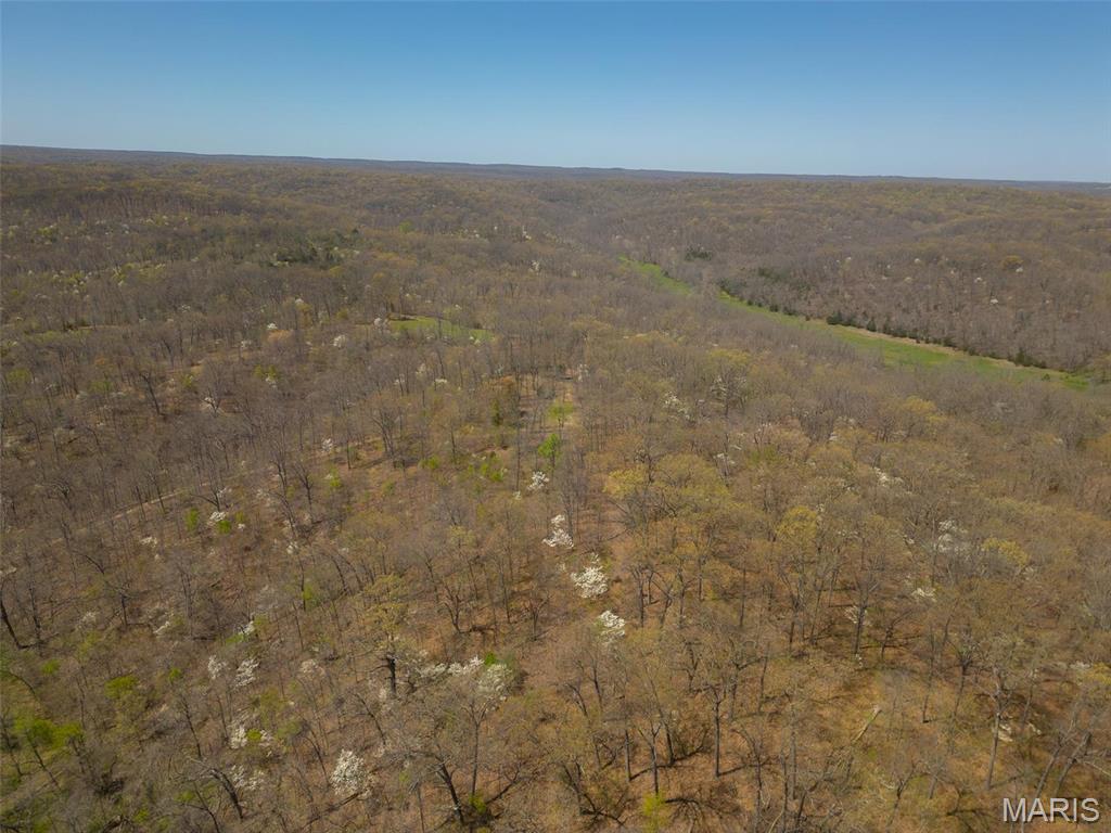 0 Dodds Camp Road Climax Springs, MO 65324 - Photo 11 of 79