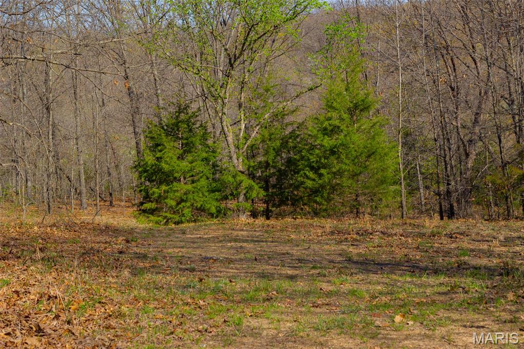 0 Dodds Camp Road Climax Springs, MO 65324 - Photo 14 of 79