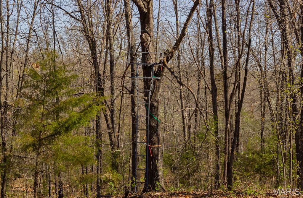 0 Dodds Camp Road Climax Springs, MO 65324 - Photo 15 of 79