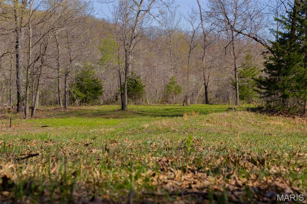 0 Dodds Camp Road Climax Springs, MO 65324 - Photo 18 of 79