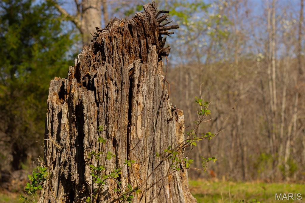 0 Dodds Camp Road Climax Springs, MO 65324 - Photo 20 of 79