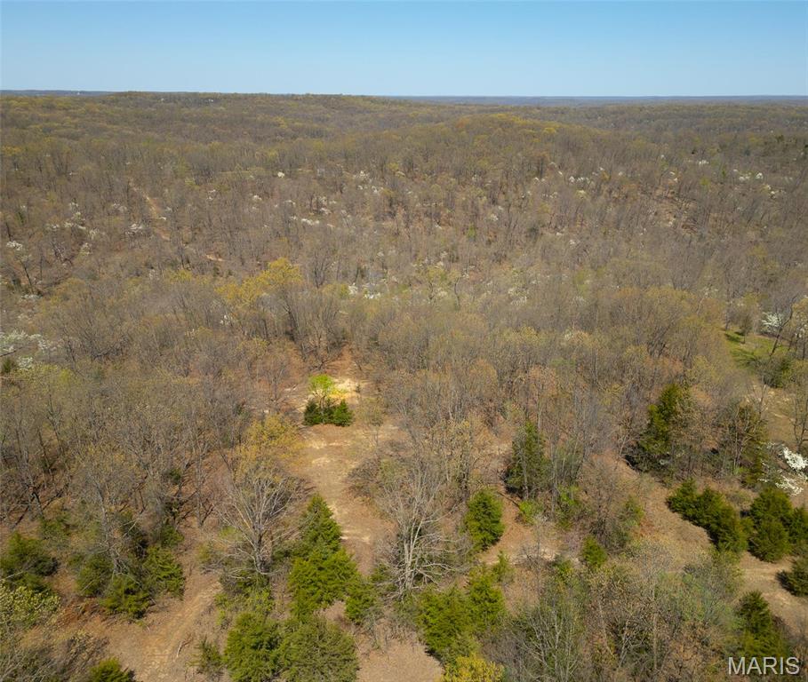 0 Dodds Camp Road Climax Springs, MO 65324 - Photo 2 of 79