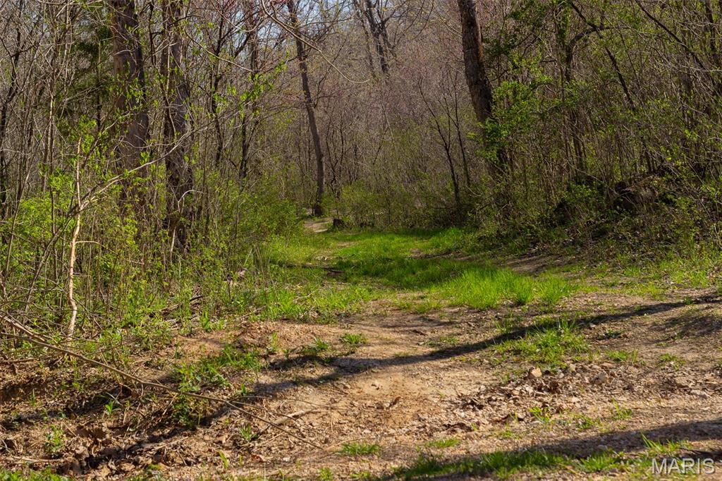 0 Dodds Camp Road Climax Springs, MO 65324 - Photo 22 of 79