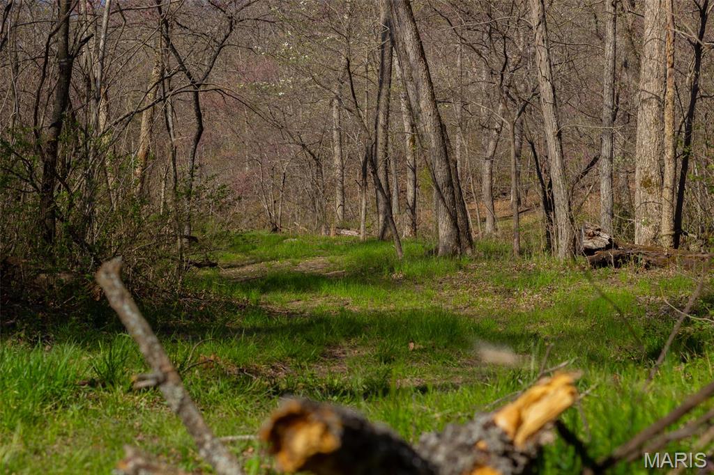 0 Dodds Camp Road Climax Springs, MO 65324 - Photo 23 of 79