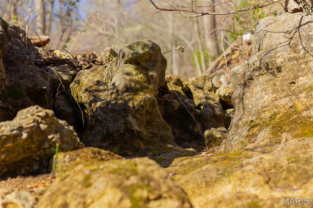 0 Dodds Camp Road Climax Springs, MO 65324 - Photo 24 of 79