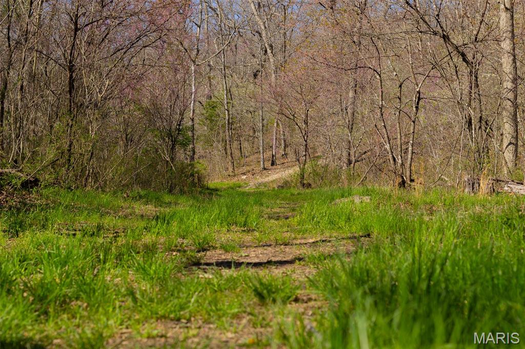0 Dodds Camp Road Climax Springs, MO 65324 - Photo 25 of 79