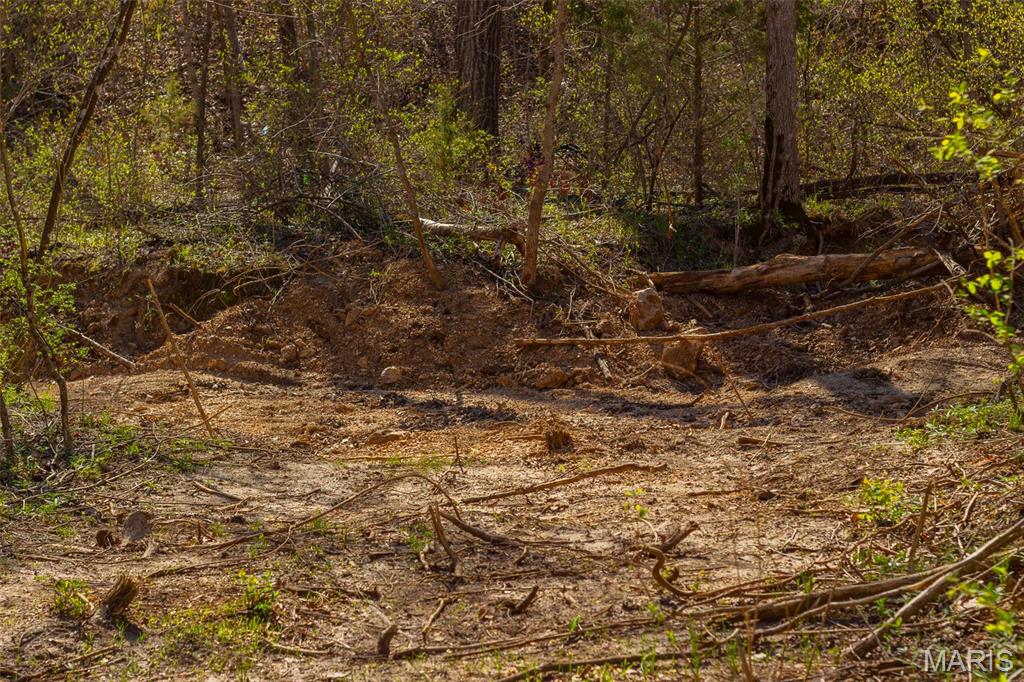 0 Dodds Camp Road Climax Springs, MO 65324 - Photo 26 of 79