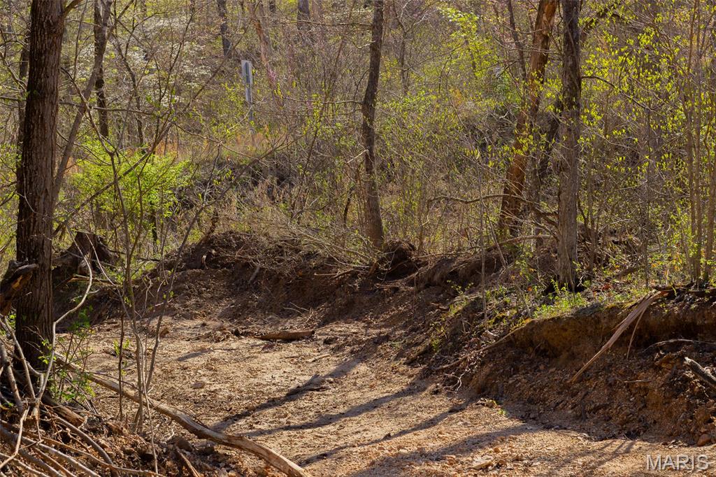0 Dodds Camp Road Climax Springs, MO 65324 - Photo 27 of 79