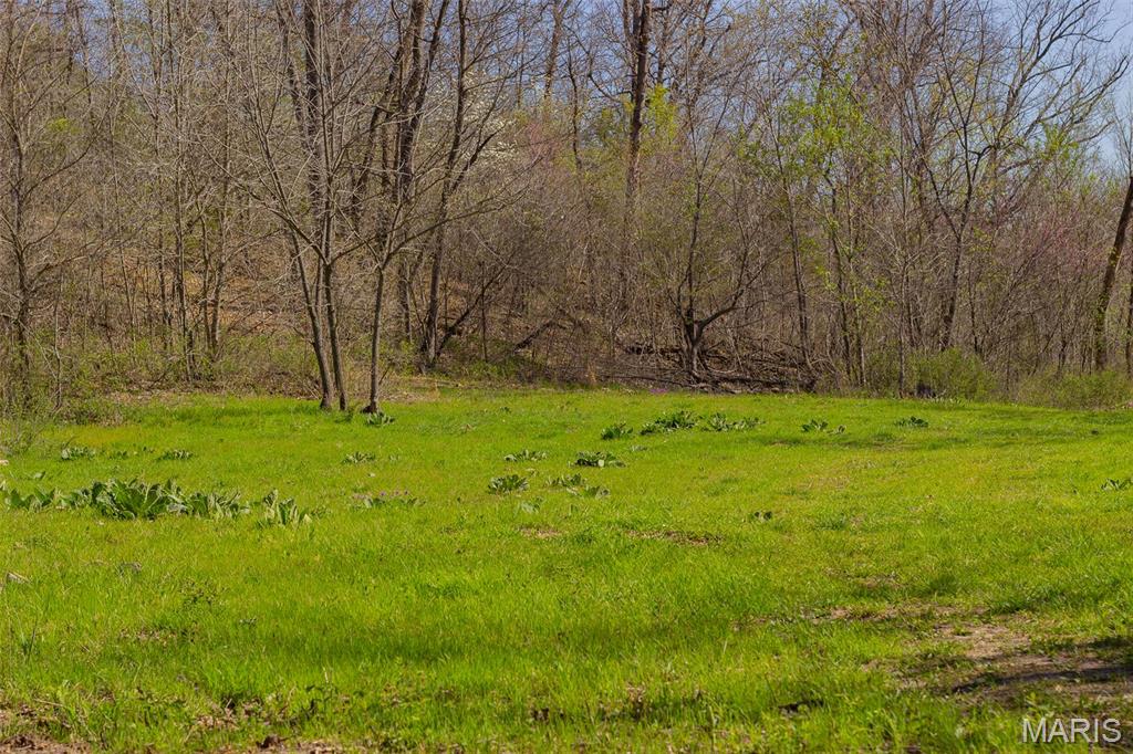 0 Dodds Camp Road Climax Springs, MO 65324 - Photo 28 of 79