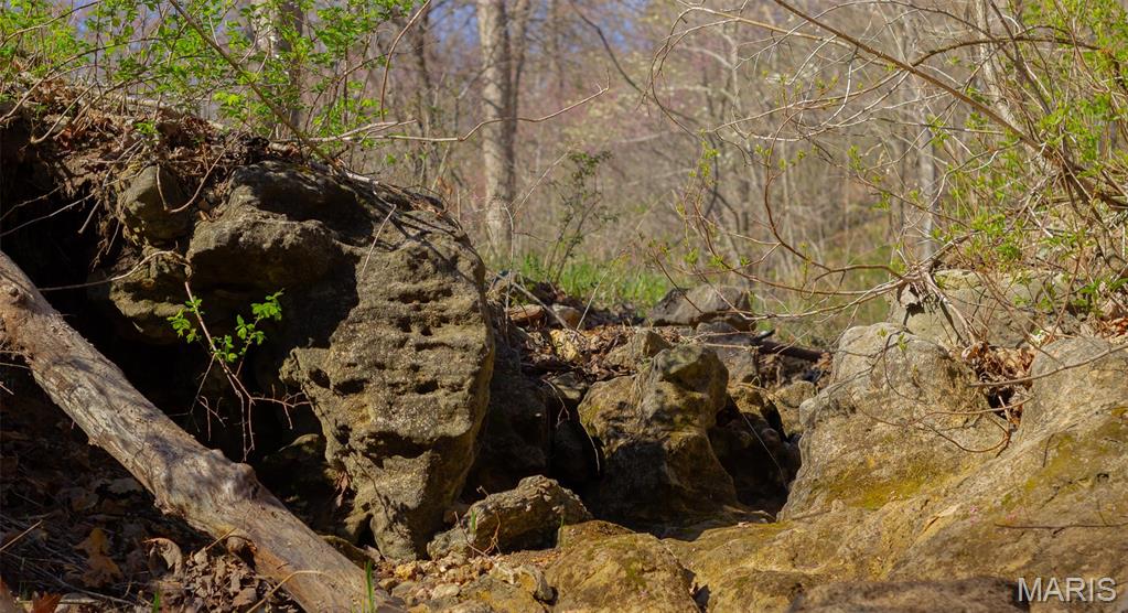 0 Dodds Camp Road Climax Springs, MO 65324 - Photo 29 of 79