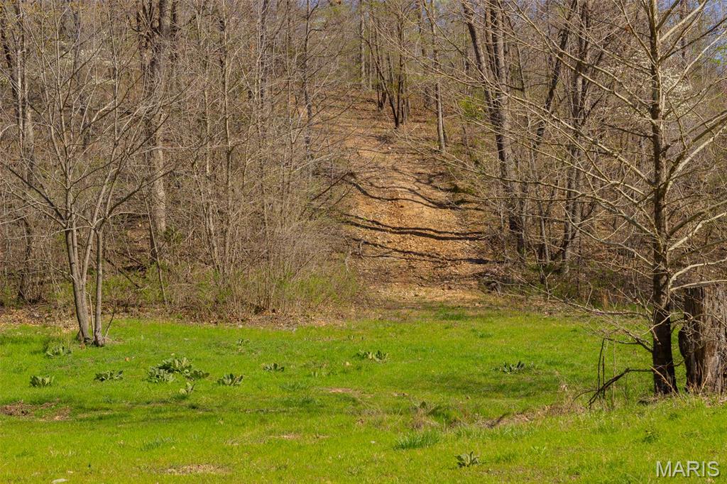 0 Dodds Camp Road Climax Springs, MO 65324 - Photo 30 of 79