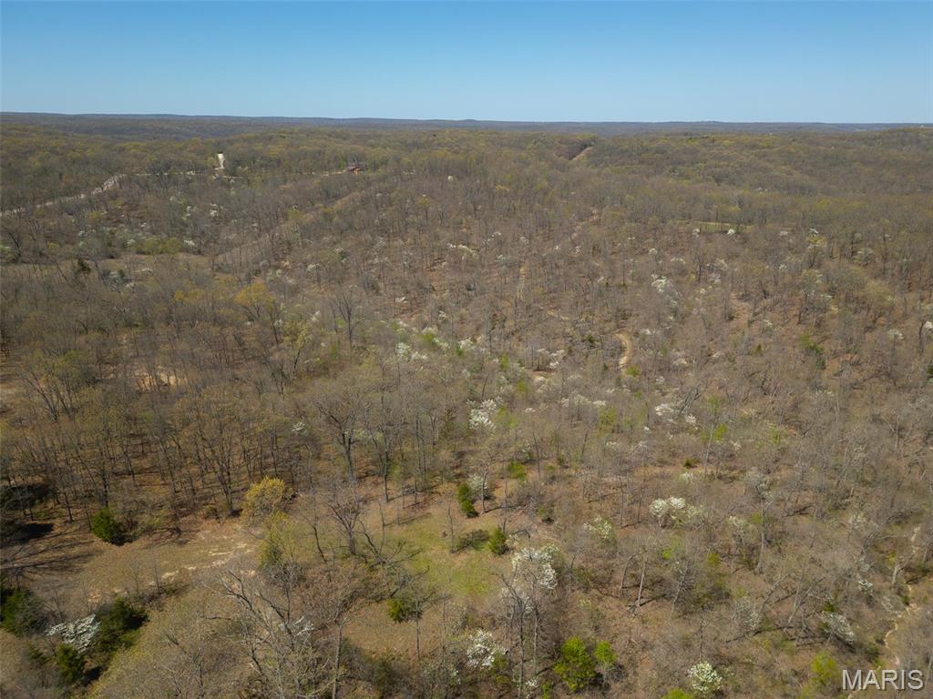 0 Dodds Camp Road Climax Springs, MO 65324 - Photo 3 of 79