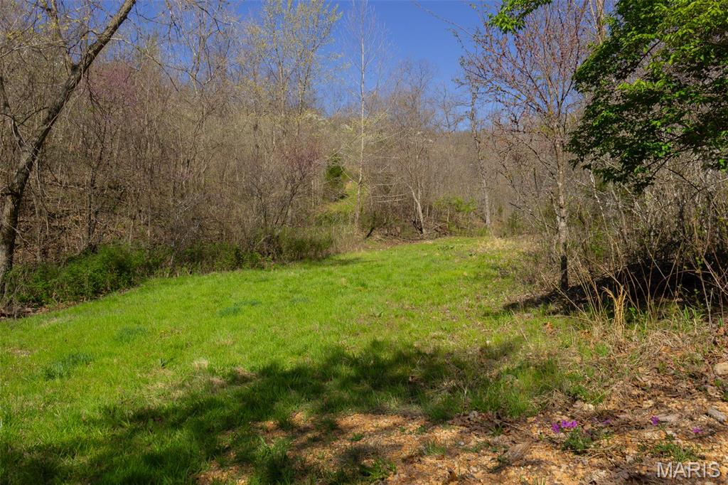 0 Dodds Camp Road Climax Springs, MO 65324 - Photo 33 of 79