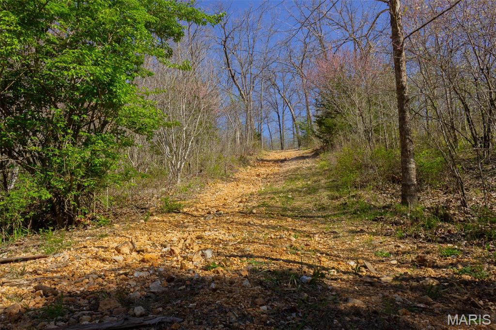 0 Dodds Camp Road Climax Springs, MO 65324 - Photo 34 of 79