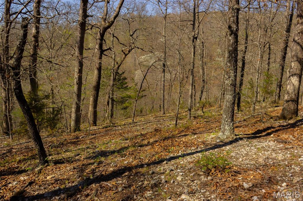 0 Dodds Camp Road Climax Springs, MO 65324 - Photo 35 of 79