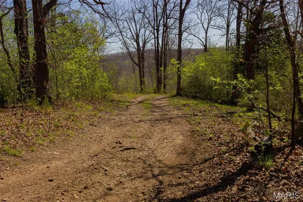 $305,000 | 0 Dodds Camp Road, Climax Springs, MO 65324