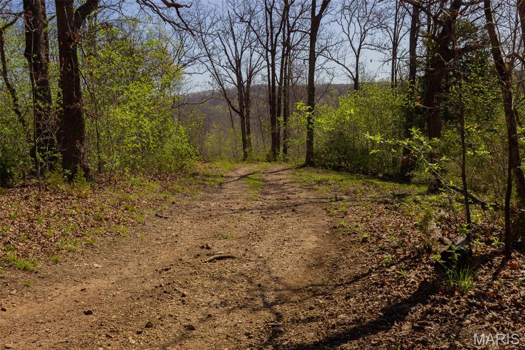 0 Dodds Camp Road Climax Springs, MO 65324 - Photo 36 of 79