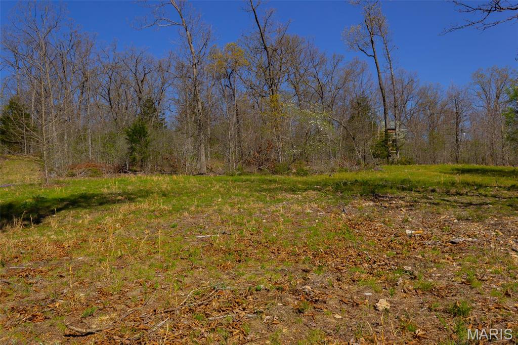 0 Dodds Camp Road Climax Springs, MO 65324 - Photo 40 of 79