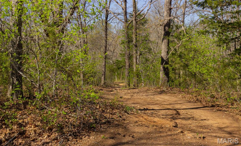 0 Dodds Camp Road Climax Springs, MO 65324 - Photo 41 of 79